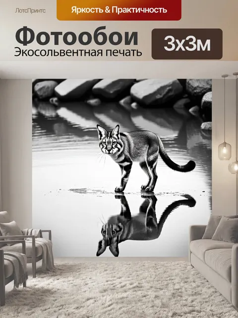 Фотообои каракал, исследующий влажные камни возле реки, отражающийся в спокойной воде
