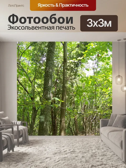 Фотообои Деревья в лесу