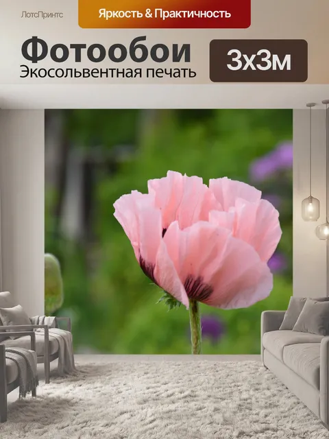 Фотообои Голландские цветы в садах 21
