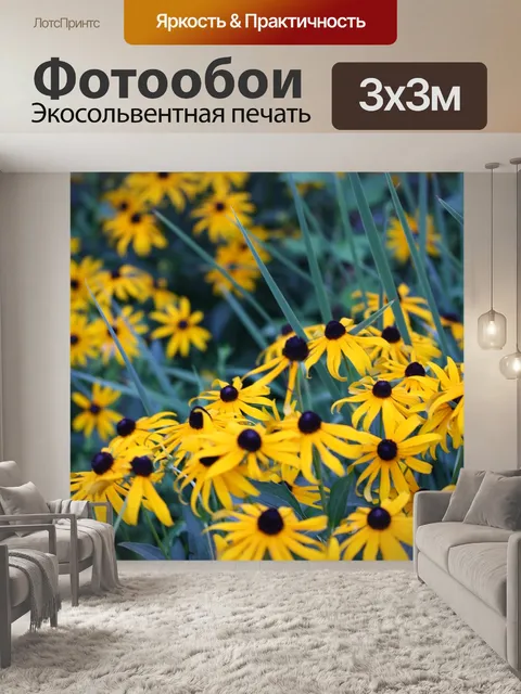 Фотообои Черный eyed сьюзан