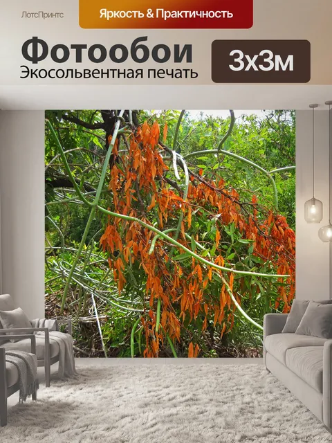 Фотообои опавшие листья на сломанной ветке
