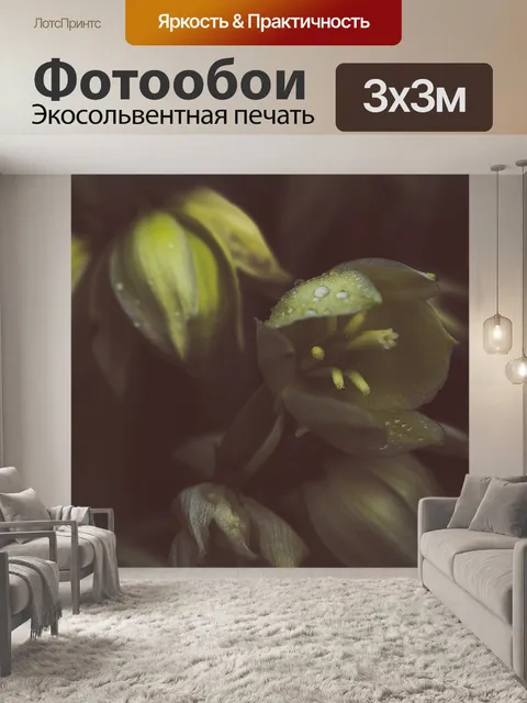 Фотообои Летом