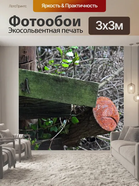 Фотообои срезать ветку рядом с деревенским заборо