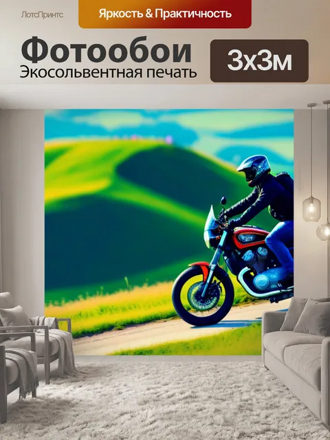Фотообои одинокий байкер на вершине холма