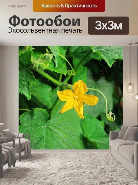 Фотообои Цветок