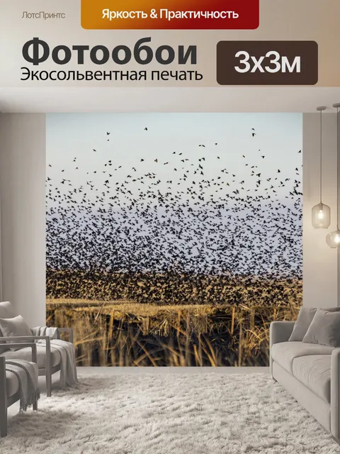 Фотообои Стая птиц над водно-болотными угодьями