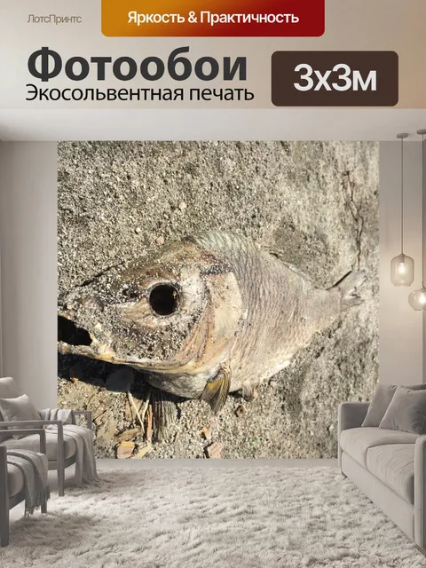 Фотообои Мертвая рыба