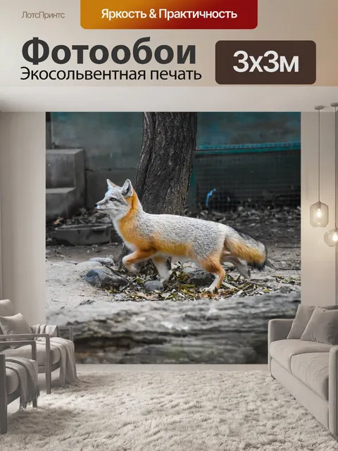 Фотообои Лисица
