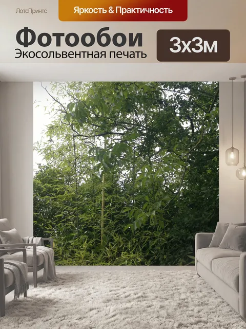 Фотообои Бамбук и растительность