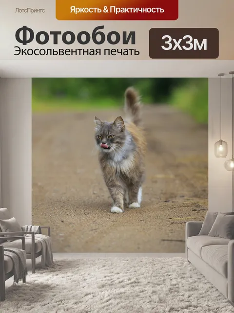 Фотообои Кот