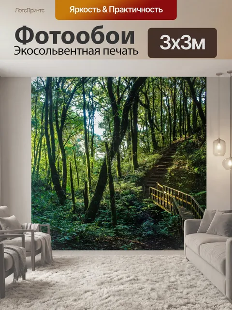 Фотообои Тропический лес в Дои Интанон, Чиангмай