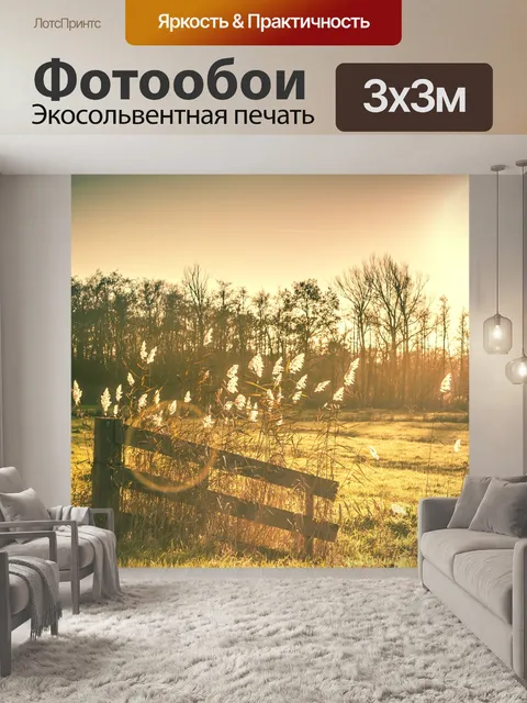 Фотообои Рассвет