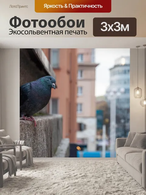 Фотообои Птица