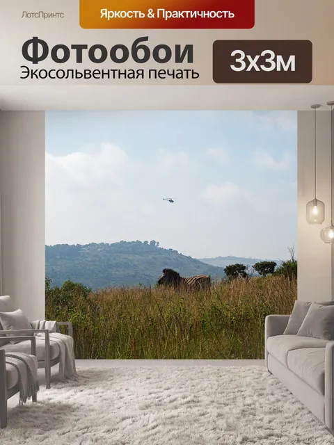 Фотообои зебра бурчелла на холме
