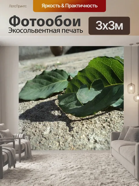 Фотообои Сердце