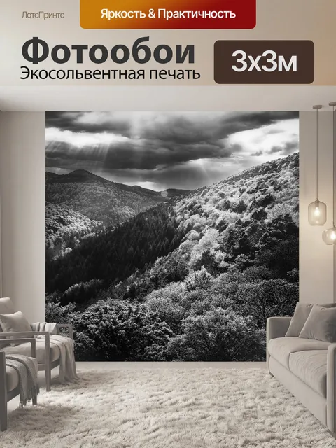 Фотообои Черно-белый