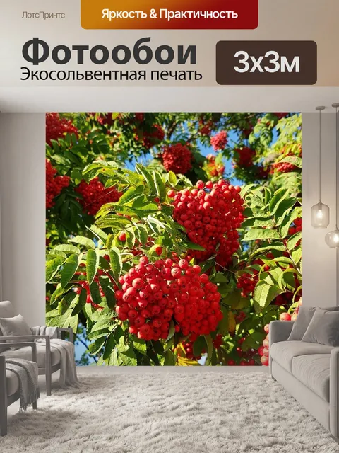Фотообои Осень