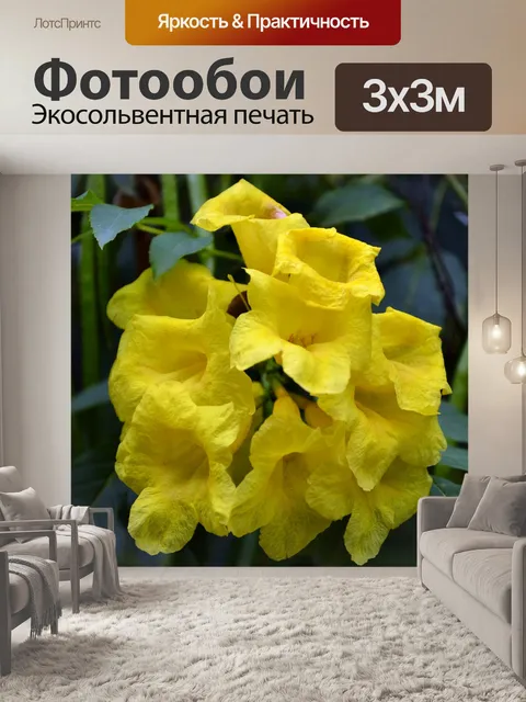 Фотообои желтые цветы