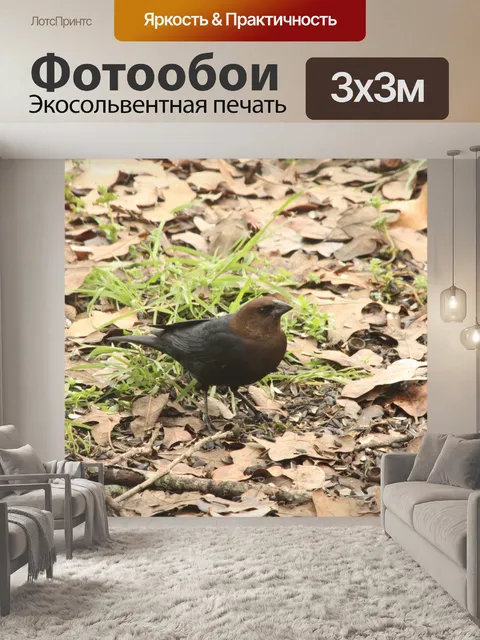 Фотообои Коричневая птица в листьях