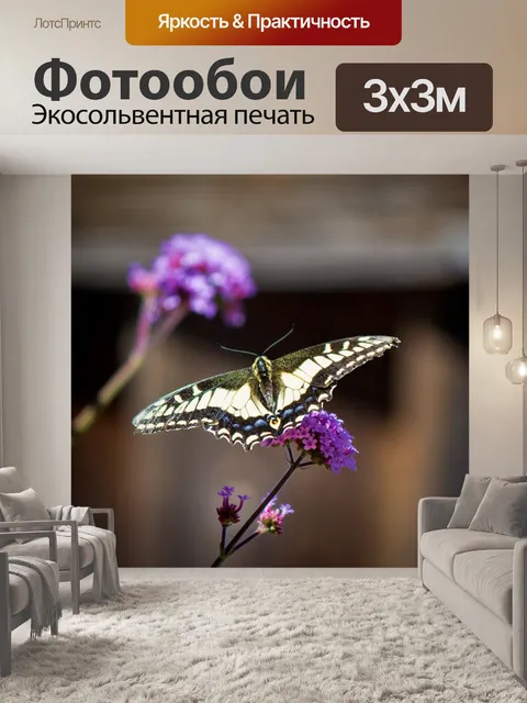 Фотообои Бабочка