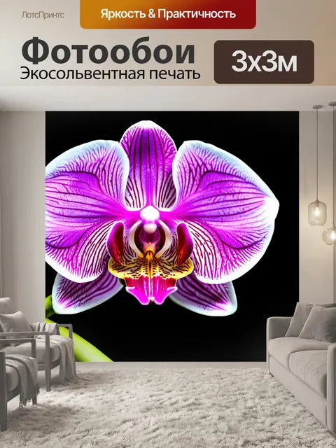 Фотообои орхидея с прозрачными лепестками, как стекло