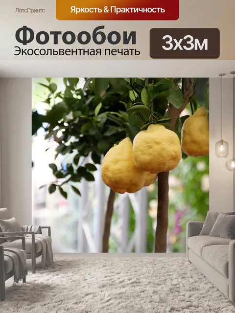 Фотообои Лимонное дерево