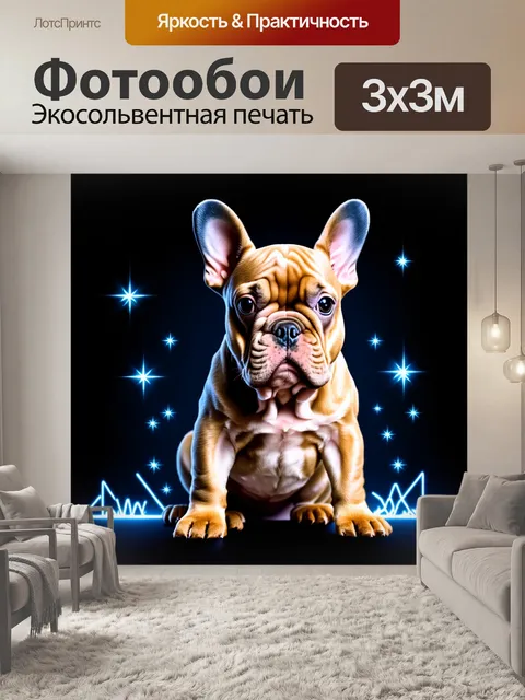 Фотообои Щенок французского бульдога