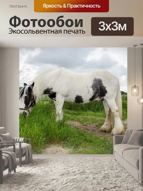 Фотообои животное