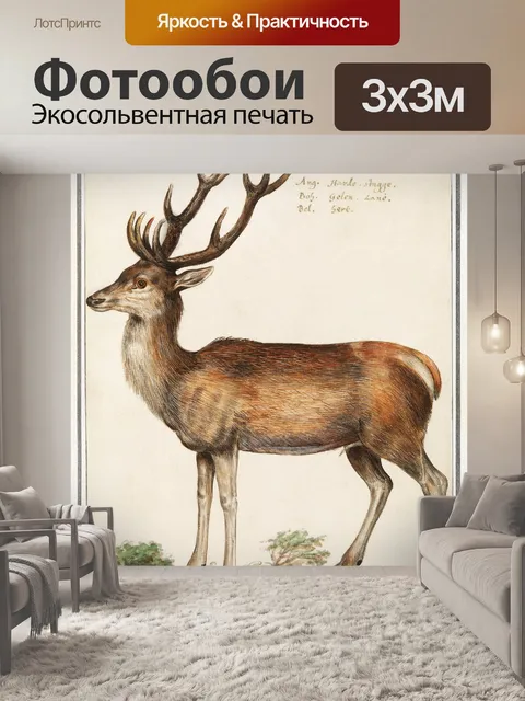 Фотообои Олень винтаж искусство старый