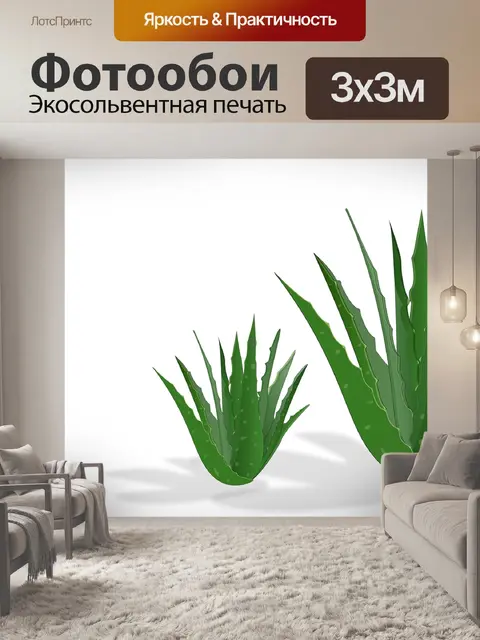 Фотообои Алоэ вера