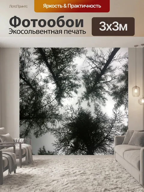 Фотообои Верхушках деревьев