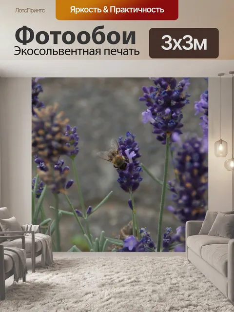 Фотообои Лаванда