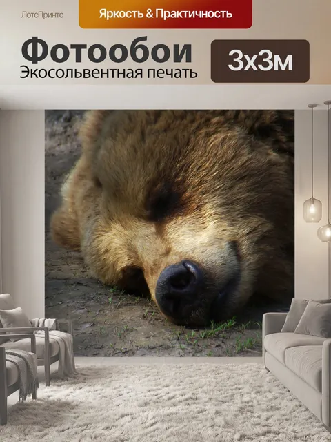 Фотообои Медведь
