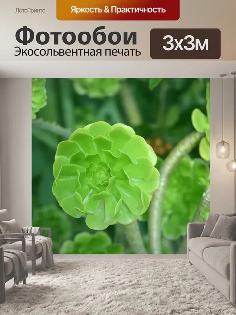 Фотообои Зеленые растения