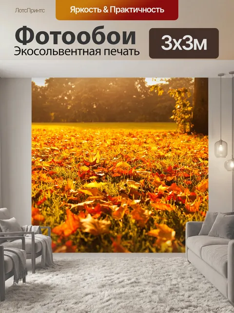 Фотообои Осенние листья на закате