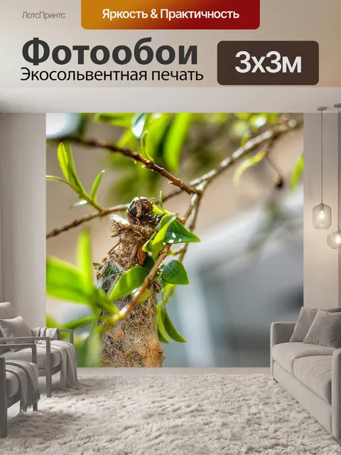 Фотообои Дерево