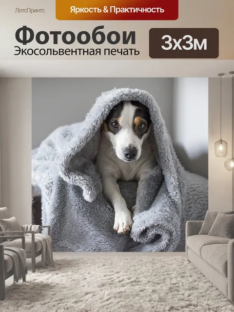 Фотообои Джек рассел