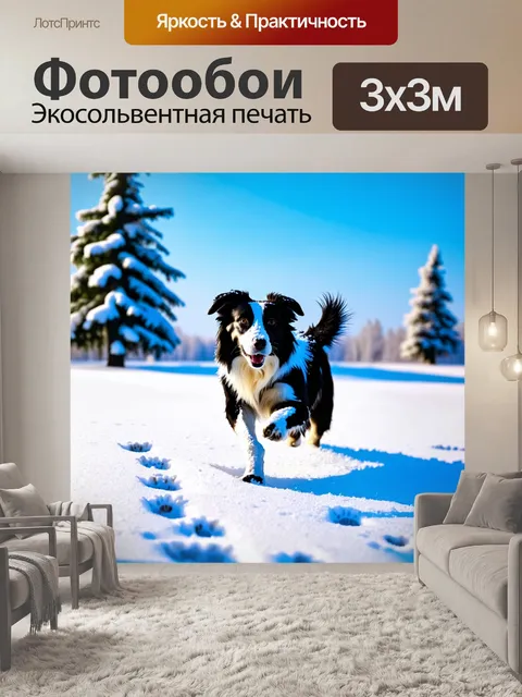 Фотообои бордер-колли резво бежит по снежному полю