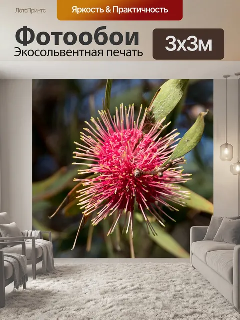 Фотообои Подушка для булавок hakea