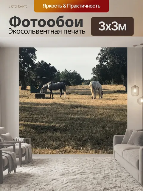Фотообои Лошади
