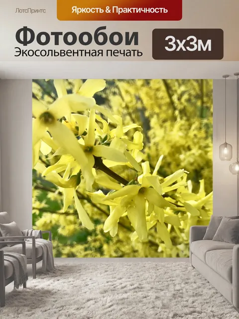 Фотообои Золотой дождь