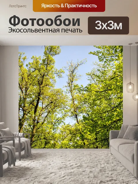 Фотообои Вид