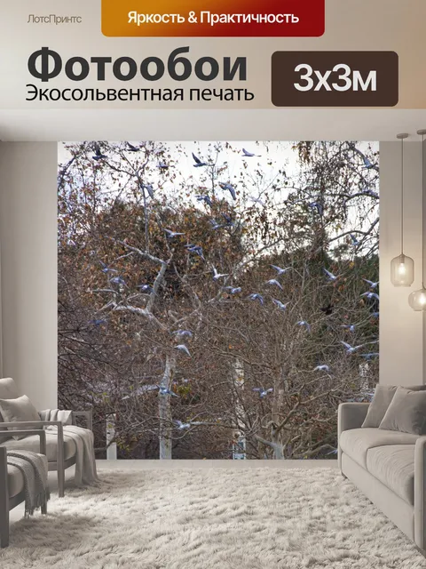 Фотообои Стая птиц летит