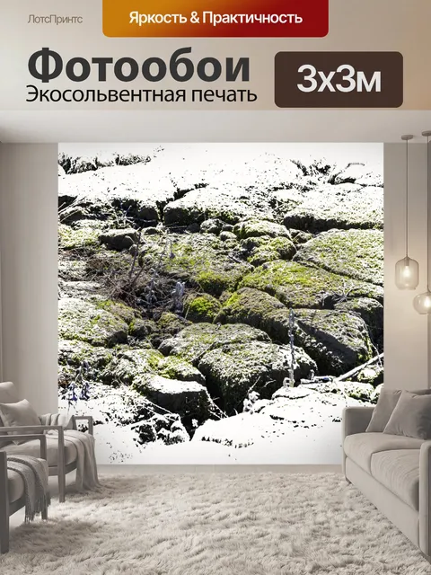 Фотообои Мох на высушенной грязи