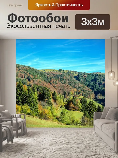 Фотообои Черный лес