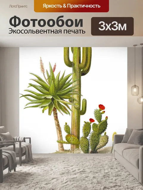 Фотообои Кактус кактусы винтажное искусство