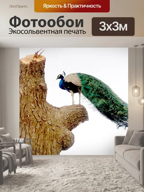 Фотообои Миры