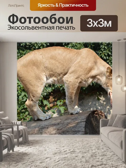 Фотообои Животное король 08