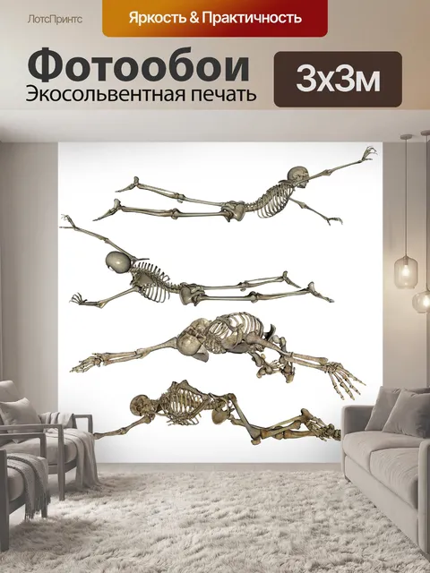 Фотообои Скелет