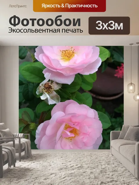 Фотообои Розовый
